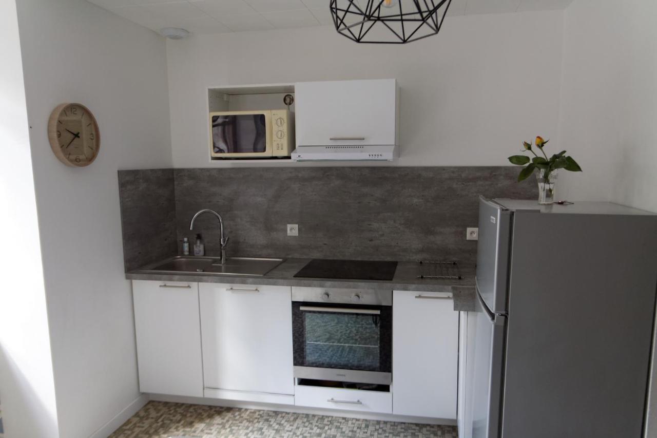Villa Jean Julien - Le Sancy - Appartement T3 - 65M2 - 8 Personnes Le Mont-Dore Dış mekan fotoğraf