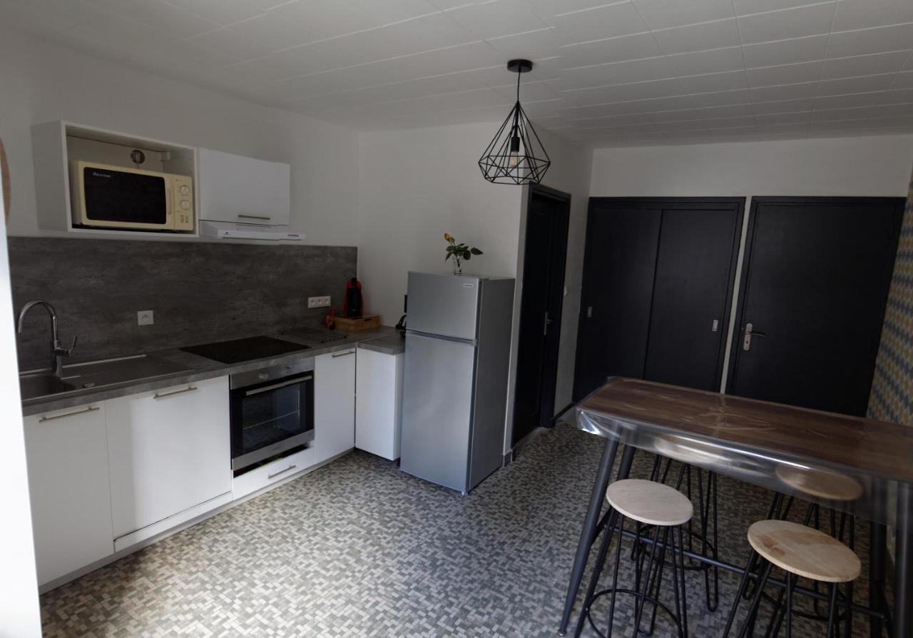 Villa Jean Julien - Le Sancy - Appartement T3 - 65M2 - 8 Personnes Le Mont-Dore Dış mekan fotoğraf