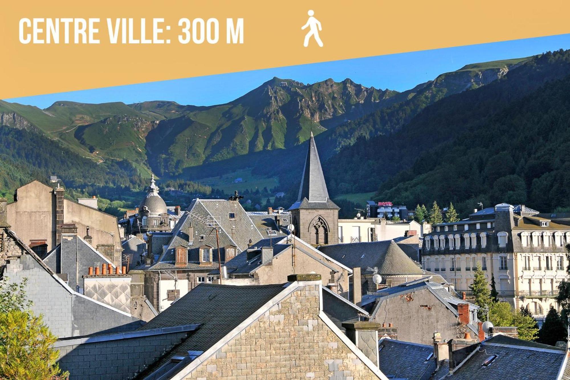 Villa Jean Julien - Le Sancy - Appartement T3 - 65M2 - 8 Personnes Le Mont-Dore Dış mekan fotoğraf